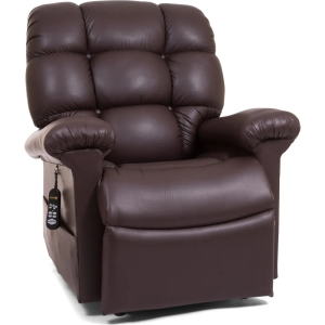 Cloud Power Lift Recliner (Medium/Large) in Coffee Bean Brisa